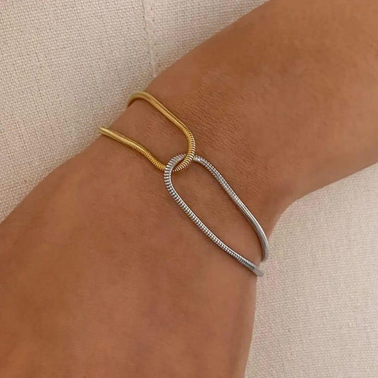 Two-Tone Snake Chain Bracelet